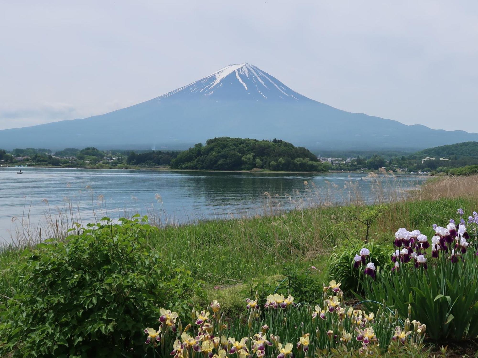 Villa Kuranoyado Matsuya Fujikawaguchiko Esterno foto