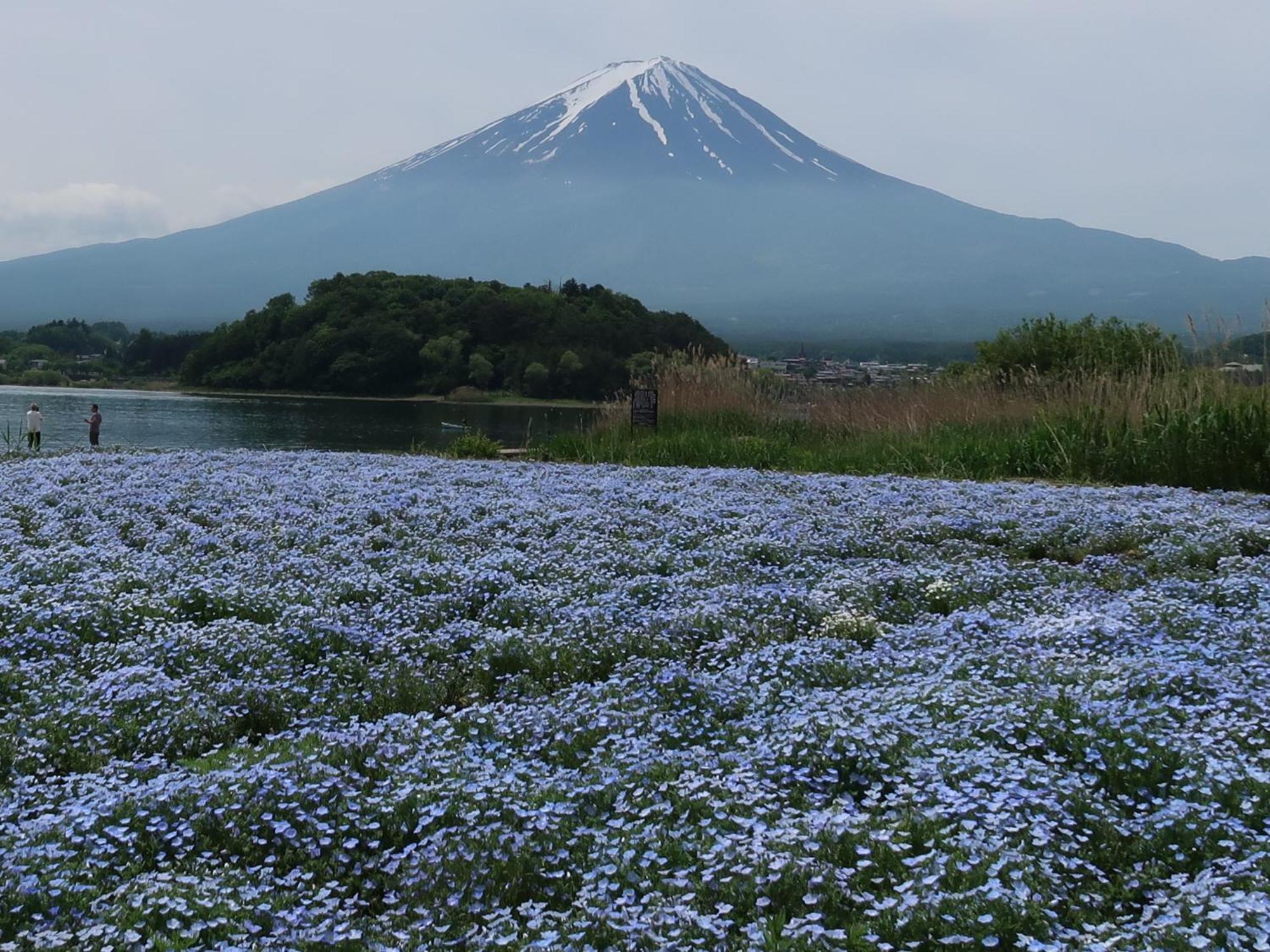 Villa Kuranoyado Matsuya Fujikawaguchiko Esterno foto
